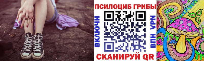 Купить закладки  Белый  Псилоцибиновые грибы Psilocybe 