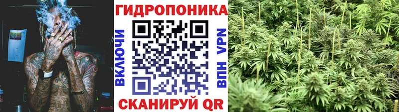 Купить где  Белый  Бошки марихуана конопля 